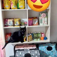 پت شاپ انلاین تویسرکان