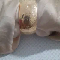 تک پوش طلا