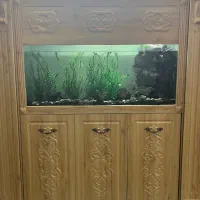 اکواریوم ۴۰۰لیتری