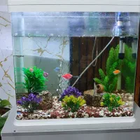 آکواریوم شیشه خم با تمام وسایل