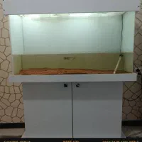 آکواریوم|ماهی|فردیس, شهرک شهید حسینی|دیوار