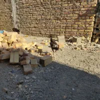 جوجه خروس لاری اصیل|حیوانات مزرعه|سراوان, |دیوار