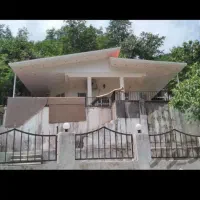 طراحی واجرای انواع سقف شیروانی درمیانه|خدمات پیشه و مهارت|میانه, |دیوار