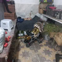 فروش کلیه لوازم میوه فروشی|فروشگاه و مغازه|شاهینشهر, گرگاب|دیوار