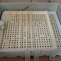 دستگاه جوجه کشی داتیکس|لوازم جانبی حیوانات|گرمسار, |دیوار