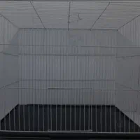 قفس پرنده سهره قناری فنچ مرغ عشق عروس طوطی برزیلی|لوازم جانبی حیوانات|تهران, مدائن|دیوار