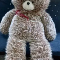 خرس و مورچه بزرگ