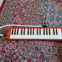 ملودیکا حرفه ای