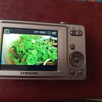 دوربین دیجینال سامسونگES55|دوربین عکاسی و فیلمبرداری|پرند, فاز ۶|دیوار