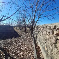 زمین باغ ویلا در بهترین لوکیشن فشند|فروش زمین و ملک کلنگی|هشتگرد, فشند|دیوار