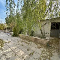 باغچه۶۵۰متری/عباس آباد/فراز/اب و برق/تهاتر دارد