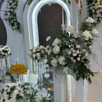 بادکنک ارایی و گل ارایی