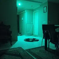 همخانه-خانم
