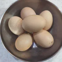 تخم مرغ لاری ورسمی