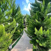 فروش شرایطی کاخ ویلای استخردار(سنددار)|فروش خانه و ویلا|جاجرود, |دیوار