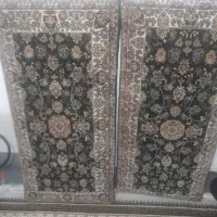 دو جفت پشتی