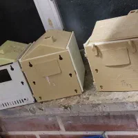 لانه فنچ لونه