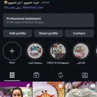 پیج اینستاگرام آماده ، خدمات مجازی فالوور اکسپلور|لوازم جانبی موبایل و تبلت|مشهد, شهید فرامرز عباسی|دیوار