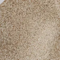 برنج لاشه پشت برنجی  لاشه  نیم دانه|خوردنی و آشامیدنی|گرگان, |دیوار