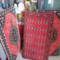 دوجفت پشتی