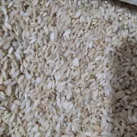 فروش برنج چمپا