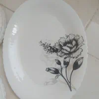 سرویس ارکوپال|ظروف سرو و پذیرایی|گرگان, |دیوار