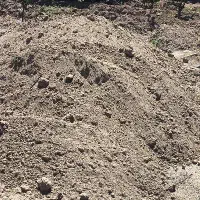 خاک ارسال نیسانی (باغچه)