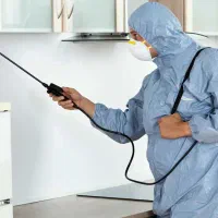 نابودی سوسک، موریانه و ساس (تضمینی و ریشه ای