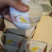 آرکوپال اصل|ظروف سرو و پذیرایی|تهران, تهرانپارس غربی|دیوار