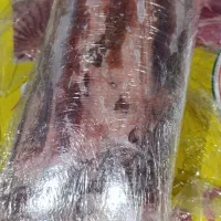 قلوه گاه گوسفندی زرین