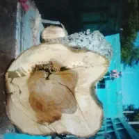 .... فروش خرید چوب همه نوع