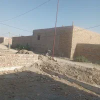 سلام ۲قواره زمین به فروش میرست|فروش زمین و ملک کلنگی|هامون, |دیوار