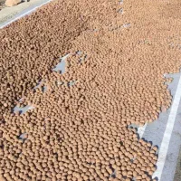 گردو کاغذی وتازه شماره تماس|خوردنی و آشامیدنی|سردشت, |دیوار