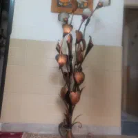 شب خواب  طرح مس