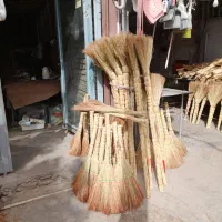 جارودستی