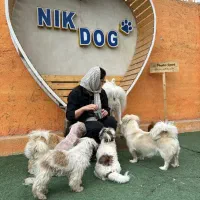 پانسیون سگ نیک داگ