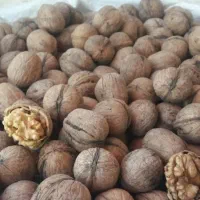 گردو|خوردنی و آشامیدنی|تهران, بوستان سرخه حصار|دیوار