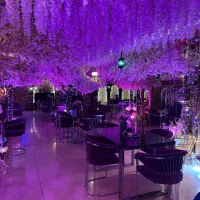 سالن دار خانوم جوان