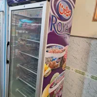 یخچال فریزر ایستاده اوگور