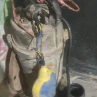 شناور ـسشوارـدینام