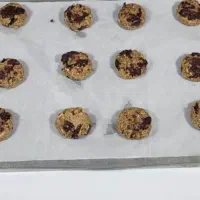 کوکی با طعم های متفاوت|عمدهفروشی|آمل, |دیوار