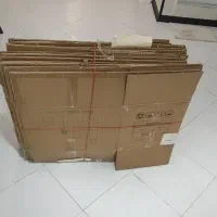 کارتن اساس کشی