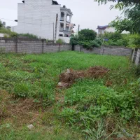 علف تراشی باغ