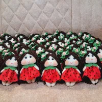 انواع کارهای نمدی|صنایع دستی و سایر لوازم تزئینی|شهرکرد, |دیوار