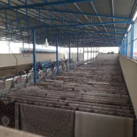 قالیشویی برتر خجسته (تخفیف ویژه)|خدمات نظافت|قم, قلعه صدری|دیوار