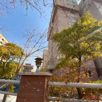 بر-اشراق-سه-نبش