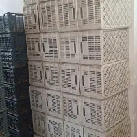 سبد شرکتی رنگ سفید مواد نو