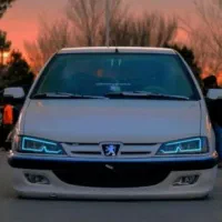 پولیش واکس دیتلینگ