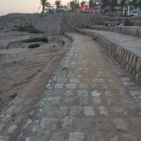 فروش-زمین-دامون