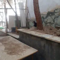 6تامرغ تخمگذار  و 4تاجوجه|حیوانات مزرعه|رودهن, |دیوار